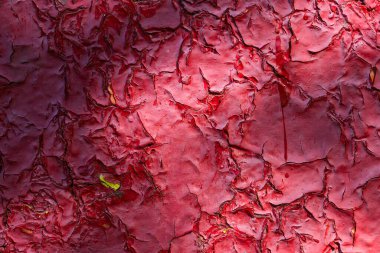 Metal duvarın parlak kırmızı dokusu eski boyalarla kaplı koyu renk çatlaklardan oluşan Grunge arka planı tasarım için.