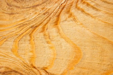 Dalgalı çizgiler şeklinde doğal desenleri olan, ahşap işçiliği tasarım konsepti için olağanüstü doğal bir arka plan.