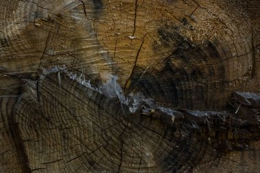 Doğal desenli ahşap dokular ve dizayn için ince çatlaklar