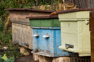 Çok renkli ahşap kovan tarımın bahçe konseptinde duruyor.