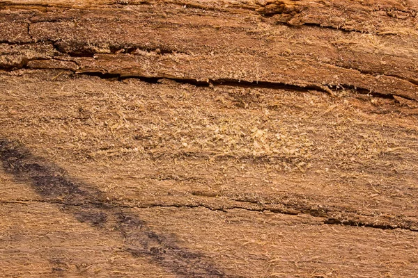 Textura Brillante Tablero Madera Viejo Cubierto Con Chips Primer Plano — Foto de Stock