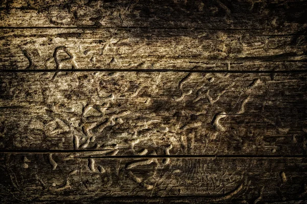 Текстура Темного Дерева Кори Природними Візерунками Містичний Загадковий Фон Концепції — стокове фото