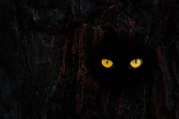 shiny orange eyes in the dark tree trunk with a hollow close up nature concept abstraction for design