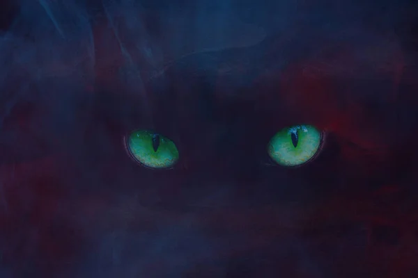 Brilliant Green Eyes Forest Spirit Red Blue Ghostly Fog Concept — Stock Photo, Image