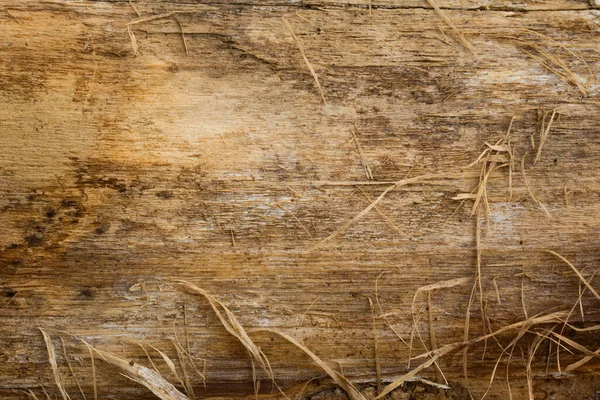 Деревянная Текстура Нежными Осколками — стоковое фото