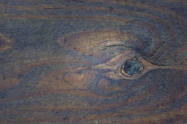 自然のパターンを持つ汚れたオークの木の神秘的な質感クローズアップグランジデザインのための背景 — ストック写真