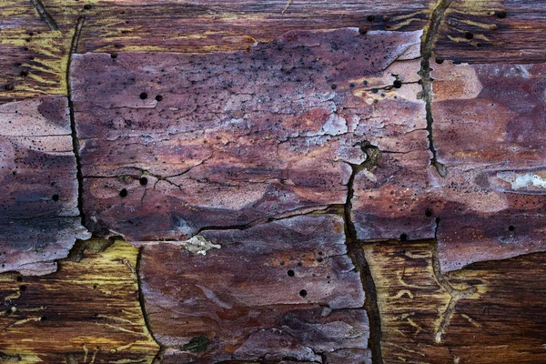 Textura Conto Fadas Pinheiro Com Uma Casca Parcialmente Descascada Padrões — Fotografia de Stock