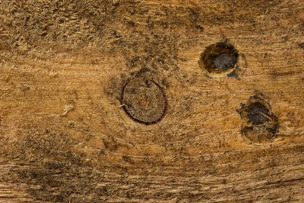 金属製の丸釘で汚れた木の質感を閉じるデザインのためのグランジの背景 — ストック写真