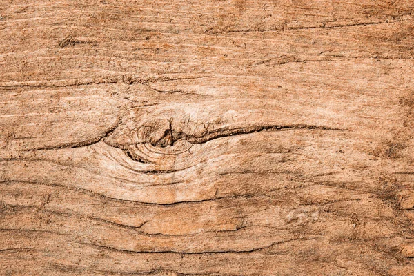 Ahşap işçiliği tasarımı için güneş ışığı arka planıyla aydınlatılan parlak ahşap desen.