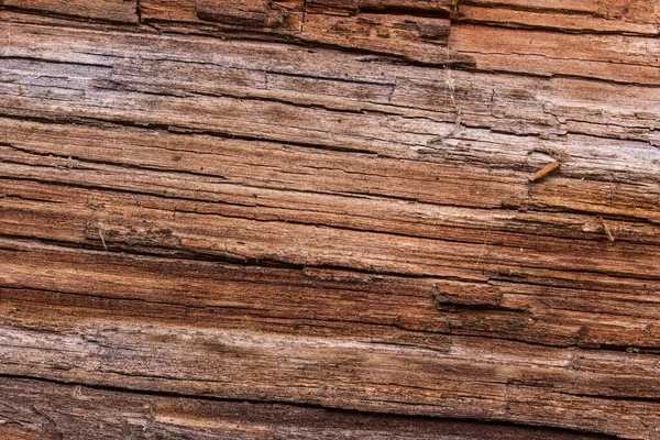 Helles Holz Textur Mit Rissen Schräg Grunge Hintergrund Für Design — Stockfoto