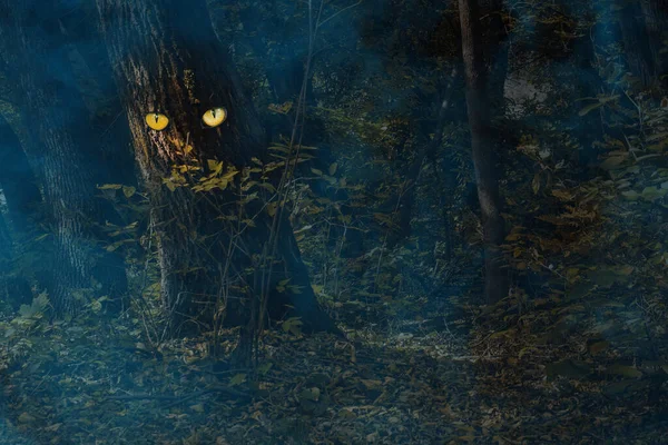 Sonbahar ormanı, gece portakal yaprakları ve gizemli mavi ağaç gövdesi, parlak büyük gözleri ve etrafındaki hiç kimse, ruhlar ve Cadılar Bayramı kavramından korkmuyor.