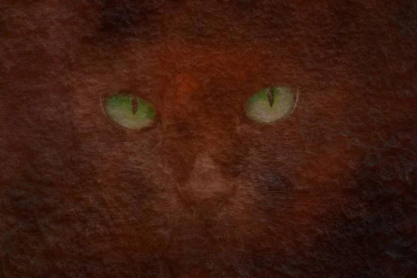 Ghostly Face Cat Green Eyes Background Stone Wall Abstraction Design — Stock Photo, Image