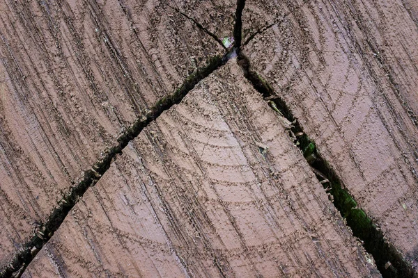 Texture Wood Cut Close Patterns Form Dark Cracks Circles Industrial — Stock Photo, Image