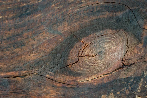 Motif Ovale Brillant Sur Une Surface Chêne Bois Gros Plan — Photo