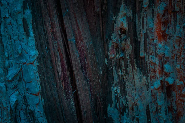 Oscuro Misterioso Textura Madera Pino Concepto Naturaleza Medio Ambiente —  Fotos de Stock