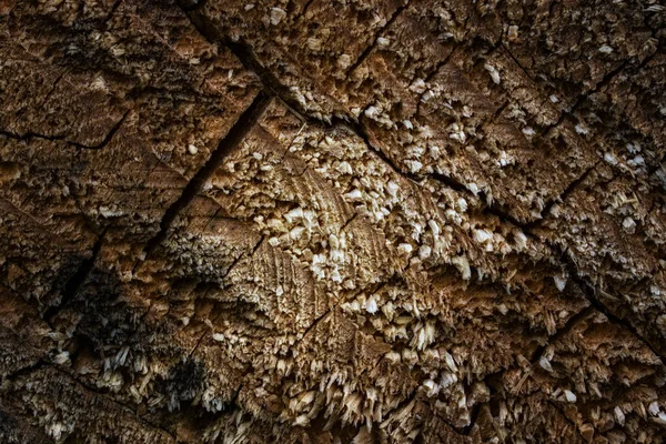 Kıymık batmış bir ahşap kesiğin koyu dokusu ve tasarım için pürüzsüz yüzey arkaplanı değil.