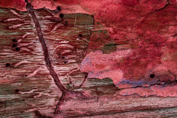 松の木の赤い質感と樹皮の亀裂が神秘的な森の神秘的なパターンデザインのための自然の背景 — ストック写真
