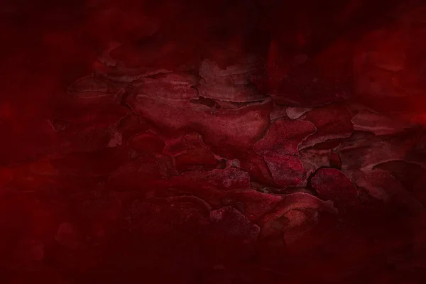 Praskliny Kůře Lesní Borovice Textury Detailní Červená Hustá Mlha Tapety — Stock fotografie