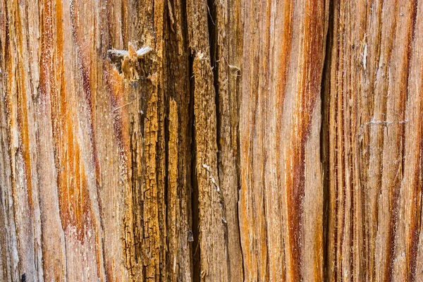 Textur Von Nadelholz Nahaufnahme Konzept Der Natur Und Holzbearbeitung Industriellen — Stockfoto