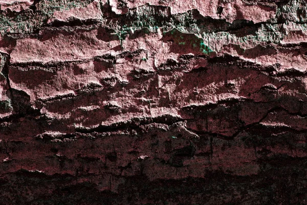 Textura Mística Tronco Árvore Com Bark Vermelho Close Parcialmente Brilha — Fotografia de Stock