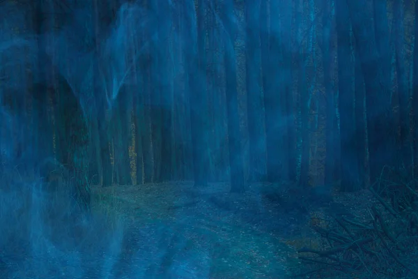 Mystical Night Forest Tall Pines Covered Blue Ghostly Mist Nature — Stock Photo, Image