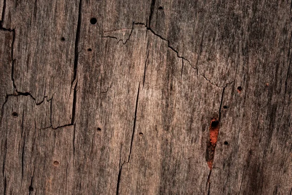 Hermosa Textura Madera Oscura Con Patrones Forma Grietas Agujeros Redondos —  Fotos de Stock