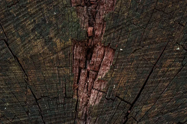 Гранжева Текстура Дерева Поверхні Старого Пенька Темними Тріщинами Відрізаними Подряпаними — стокове фото