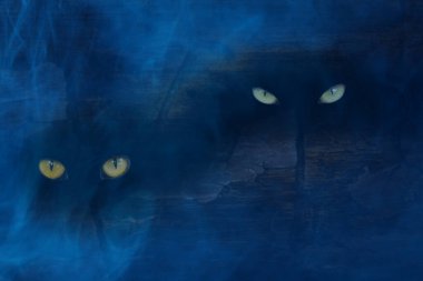 Bir çam ormanında, mavi ve kalın, gizemli bir ağaç gövdesinin içinde vahşi hayvanların gözleri parıldıyor.