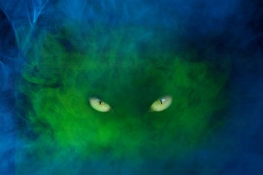 Mavi-yeşil, sarı parlak gözlü ve sert bakışlı hayalet mistisizm ve cadılar bayramı kavramı.