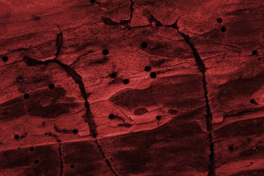 Çam kabuğunun yüzeyinin kırmızı koyu ve gizemli dokusu yakın plan doğal desenli tasarım için