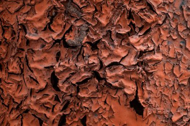 Mistik turuncu boya dokusu koyu çatlaklar yakın plan grunge tasarım için arka plan