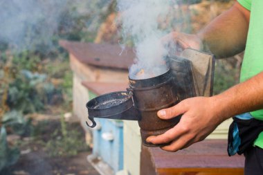 Çiftçi arka planda bulanık bir arı kovanı kavramında sigara içiyor