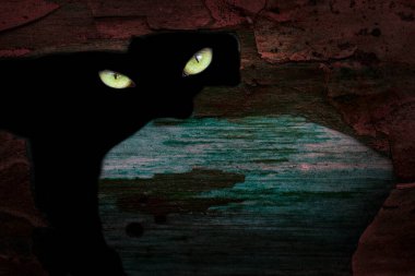 Eski bir çam ağacında kara bir delik vahşi bir hayvanın sarı gözleri cadılar bayramı için orman sakinleri duvar kağıdı konseptine bakar.