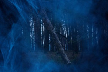 Devrilmiş uzun çam ağacı, gece karanlığında bir diğerine yapıştı. Mavi sisle kaplıydı. Doğa ve Cadılar Bayramı kavramı.