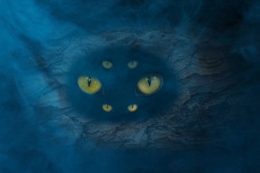 Üç çift turuncu göz, karanlık ve gizemli mavi mistik sis konsepti ve Cadılar Bayramı etrafındaki karanlık bir ağaçtan dışarı bakıyor.