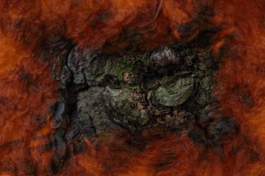 Gri ağaç kabuğunun dokusu kısmen yeşil yosunla kaplı turuncu alevli çerçeve konsepti ve orman yangınları tasarım için arka plan