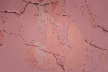 Pembe vintage duvar dokusu ve soyulmuş eski boya parçaları. Tasarım için yakın plan.