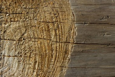 ağaç kabuksuz ahşap doku güzel sarı kesim yapı tasarım konsepti ve yapı malzemeleri için arka plan
