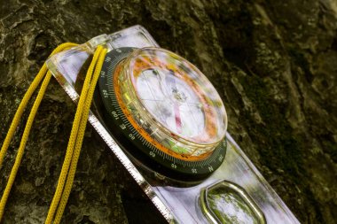 Pusula bir ağacın üzerinde durur. Camın parıltısı spor yönelimi ve yürüyüş kavramının doğasını yansıtır.