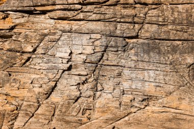 güzel ve fantastik ahşap doku çatlaklar ve çipler ile doğal desenler tasarlama kavramı ahşap işçiliği için arka plan