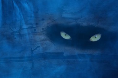 Eski bir çam ağacının gövdesinde saklanan vahşi bir hayvanın gözleri mavi gece sisi ile kaplıdır. Vahşi yaşam ve Cadılar Bayramı kavramı.