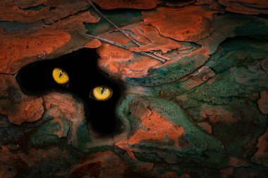 Karanlık ormandaki vahşi bir hayvanın turuncu gözleri çam desenli sanat soyutlaması vahşi yaşam ve cadılar bayramı kavramı.