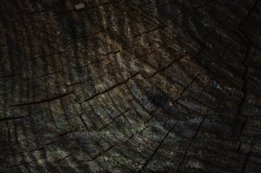 Koyu gri ahşap desenli gizemli kesik, çatlaklar yakın plan doğal tasarım için.