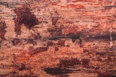 Ahşap işçiliği tasarım konsepti için parlak kırmızı çam ağacı dokusu yakın plan