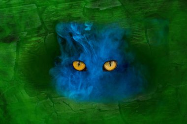 Yeşil sisli, büyük turuncu gözlü mavi bir hayalet. Mistisizm ve Cadılar Bayramı kavramı