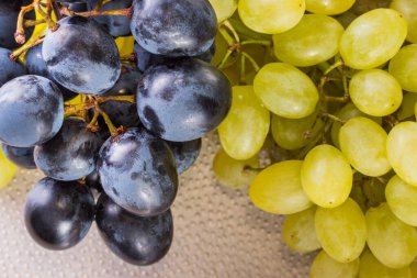 Plastik bir tahtanın arka planında sivilceli mavi ve beyaz üzüm kümeleri çok iştah açıcı görünüyor.