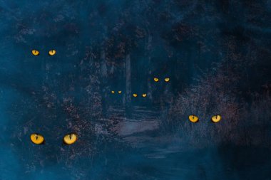 Gecenin sonbahar ormanı, parlak turuncu gözleri ile vahşi hayvanların gizemli izleri, mavi sis kavramı mistisizm ve cadılar bayramı etrafında.
