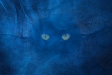 Bir ağacın kabuğunun altında saklanan vahşi bir hayvanın turuncu gözleri. Mavi gece sisi kavramı. Vahşi fantastik doğa ve cadılar bayramı.