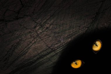 Ormanın ruhunun turuncu gözleri eski bir ağacın karanlık deliğinde parıldıyor. Vahşi yaşam kavramına yakın ve mistisizm dokusunda desenler var.