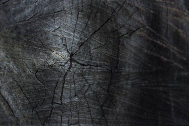 Bulanık kenarlı mistik ahşap kesim doğa konsepti için gizemli ve gri soyutlama